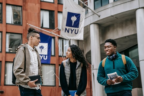 NYU Acceptance Rate (2026): Overall, Transfer & Yield